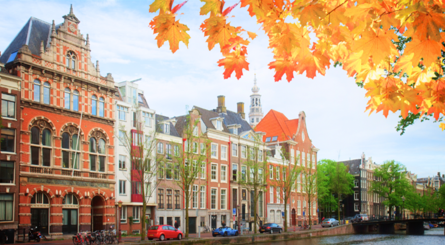 The Amsterdam Immunogenicity and Tolerance Seminar: 2024